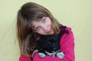 Marko Šubic - Naklonjenost